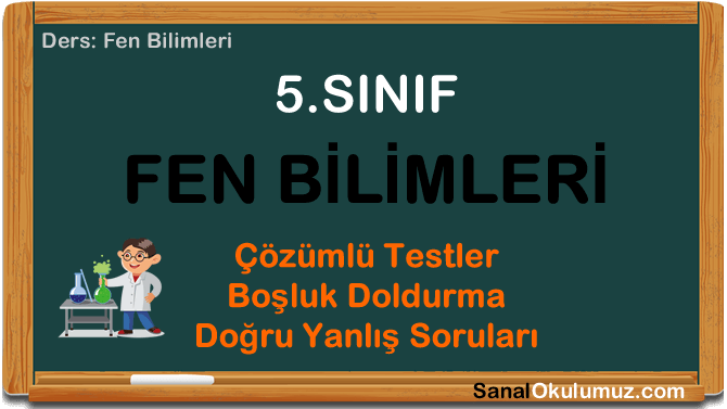 5 Sinif Fen Bilimleri Testleri Fen Testi