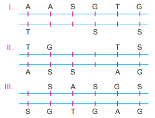 dna zincirleri