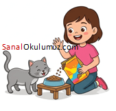 kedi besliyor