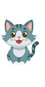 kedi (cat)
