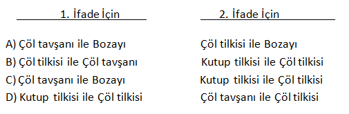 5. soru seçenekler