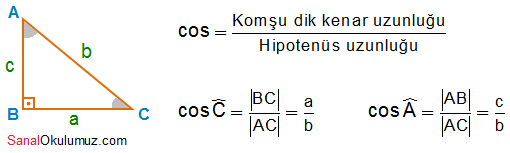 kosinüs
