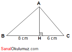 üçgende alan sorular soru 2