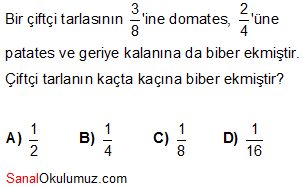 kesirler problemler soru 3