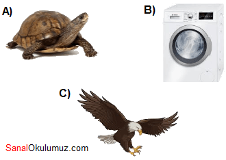 kaplumbağa çamaşır makinesi kartal